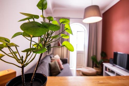 Se Apartment | Faro Central - Holiday Apartments