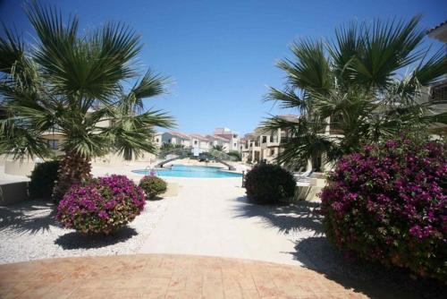 Paphos Apartment | Faros Beach