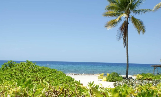Tibbett's Turn Apartment | Featherstone - Downstairs Beach Front Apartment