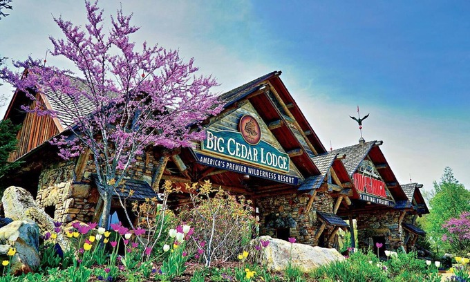 Big Cedars Cabin | Feb 10th-17th - Beautiful Lodge, Scenic Views, Family Friendly