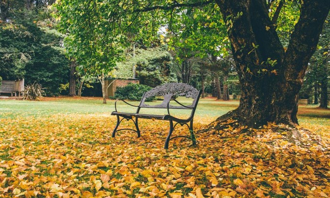 Blackheath Cabin | Federation Gardens & Possums Hideaway