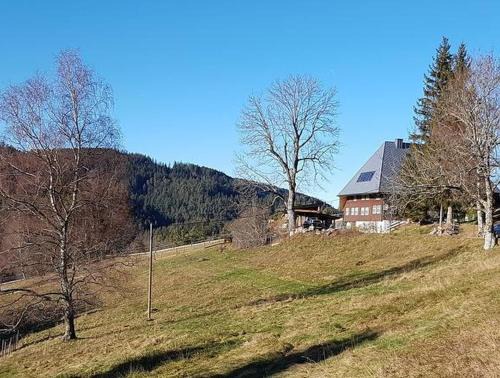 Triberg im Schwarzwald Apartment | Feißesberghof