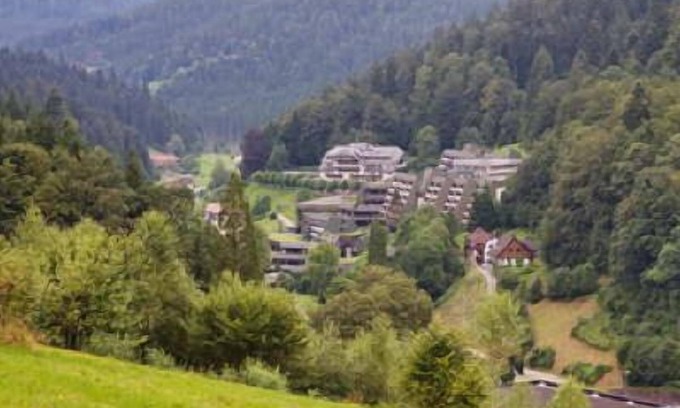 Bad Rippoldsau-Schapbach Apartment | Ferienwohnung 1 mit ca. 80qm, 2 Schlafzimmer, für maximal 6 Personen