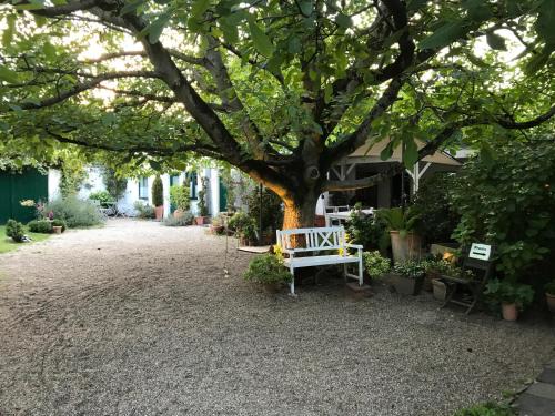 Meerbusch Apartment | Ferien- und Messewohnung in Meerbusch