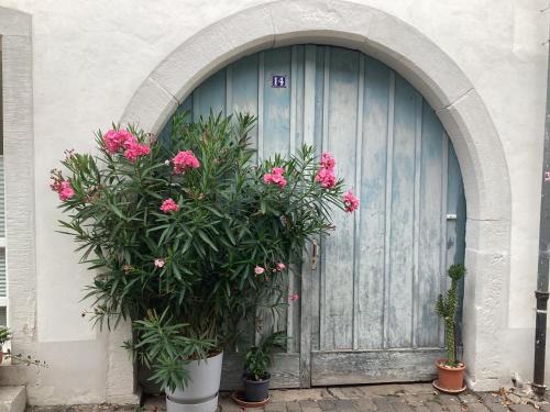 Deidesheim House | Ferienhäuschen am Heumarkt
