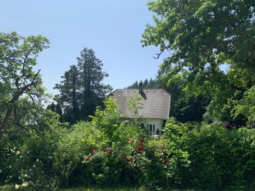 Schopfheim House | Ferienhäusle 1a