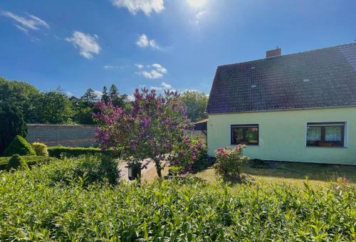 Muritz House | Ferienhaus "Am Flachsee"