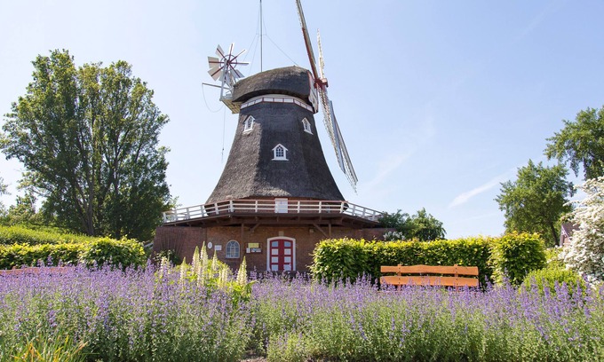Bad Bederkesa House | Ferienhaus für 6 Gäste mit 78m² in Bad Bederkesa