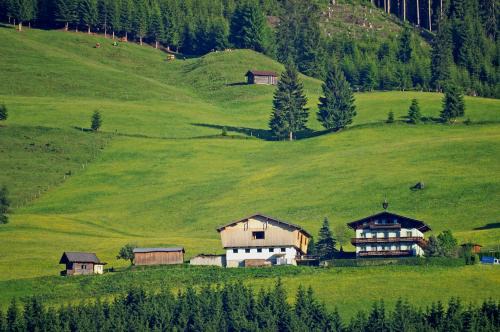 Hollersbach im Pinzgau Apartment | Ferienhaus Hochwimmer