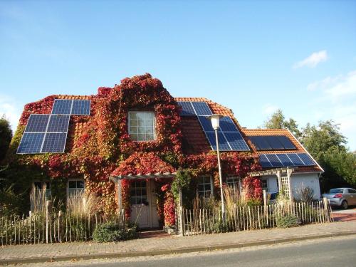 Wangerland House | Ferienhaus Menschen, Meehr & Wilder Wein