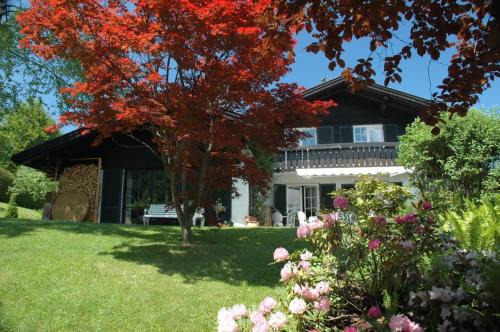 Ettensberg House | Ferienhaus Nest