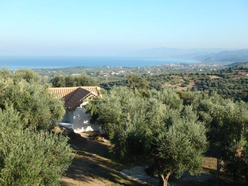 Kiparissia House | Ferienhaus Olive Garden