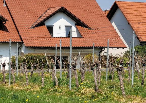 Oberhausen House | Ferienhaus Vongerichten