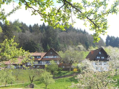 Busterbach Apartment | Ferienhof Fischer