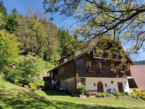 Bad Rippoldsau-Schapbach Apartment | Ferienwohnungen Vogt's Libding