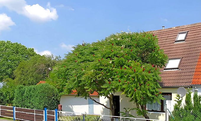 Wesenberg Apartment | Ferienwohnung Wesenberg