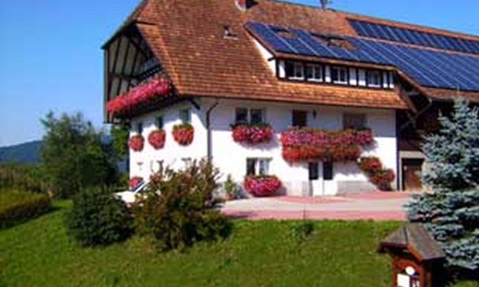 Odsbach Apartment | Ferienwohnung 1, 65qm, 1 Schlafzimmer, 1 Wohn-/Schlafraum, max. 4 Personen