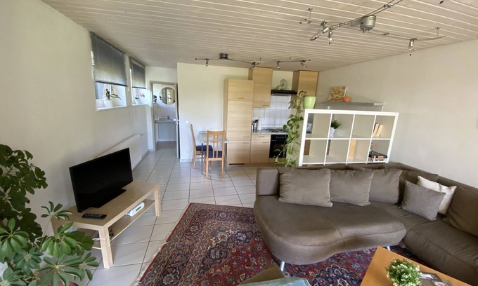 Alpirsbach Apartment | Ferienwohnung 57 qm, Wohnzimmer mit integrierter Küche, Badezimmer mit Dusche und WC