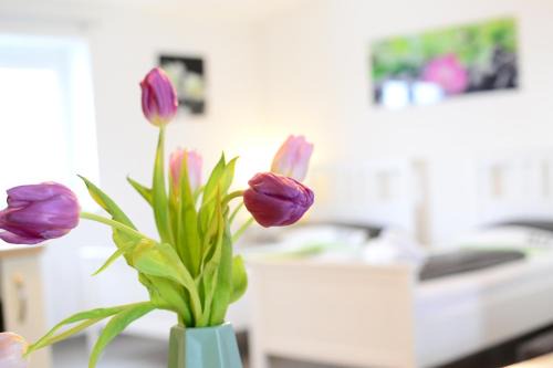 Lochbrucke Apartment | Ferienwohnung am Seewald