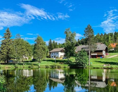 Herrischried Apartment | Ferienwohnung "Am Skilift"