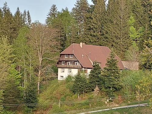 Lauterbach Apartment | Ferienwohnung Auerhahn