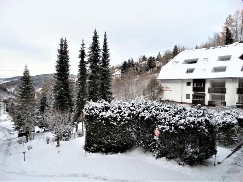 Triberg im Schwarzwald Apartment | Ferienwohnung Bergblick