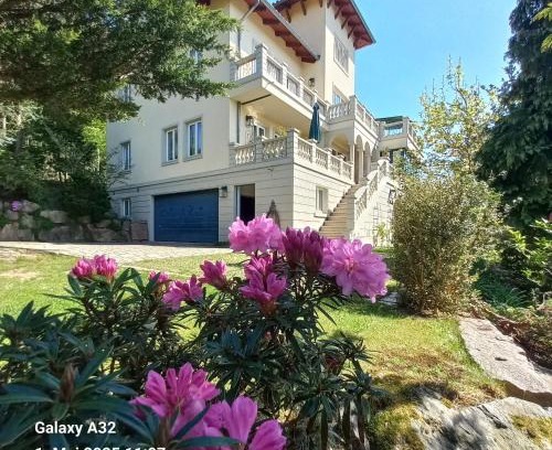 Wilkau-Haßlau Apartment | Ferienwohnung Dennstedt