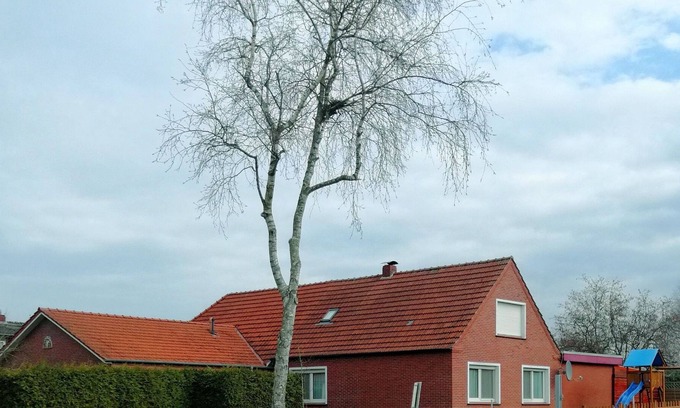 Neukamperfehn Apartment | Ferienwohnung Erica 35223 - Ferienwohnung Erica