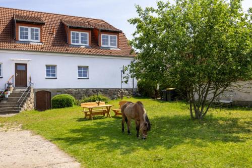 Kroepelin House | Ferienwohnung "FLORI's PONYHOF"
