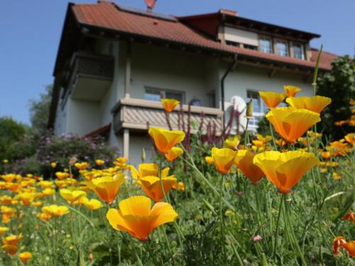 Rickenbach Apartment | Ferienwohnung Haus Doris