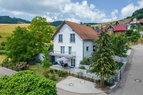 Brandmatt Apartment | Ferienwohnung Hohfelsenblick