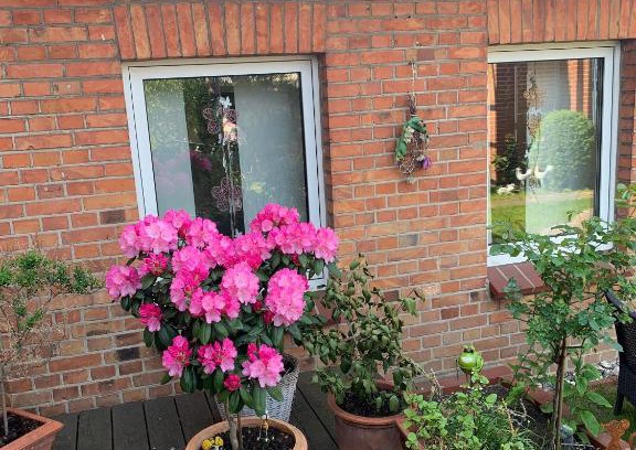 Teterow Apartment | Ferienwohnung-in-Stadtmitte