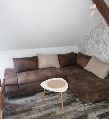 Blumenberg Apartment | Ferienwohnung IV Sarrebriese