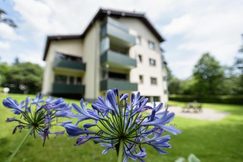 Bockswiese Apartment | Ferienwohnung Marie