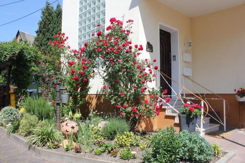 Kamp-Bornhofen Apartment | Ferienwohnung Rosemarie