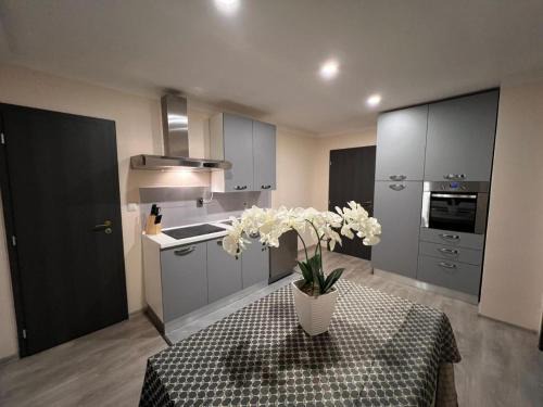 Adorf Apartment | Ferienwohnung Vogtland