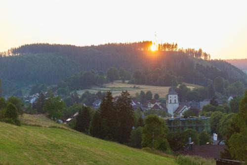 Lenzkirch Apartment | Ferienwohnung Wälderliebe