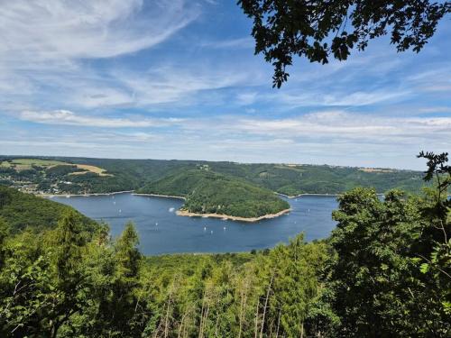 Dedenborn Apartment | Ferienwohnung Waldblick 2 für 4 Personen und max 2 Hunde