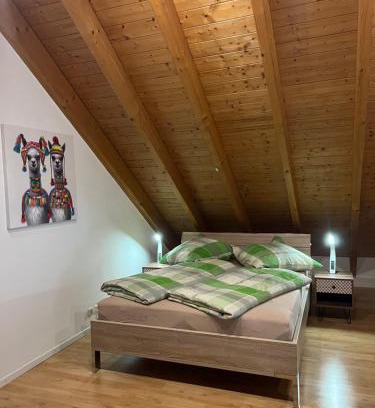 Loerrach Apartment | Ferienwohnung Zentral in Lörrach - KONUS Gästekarte inklusive