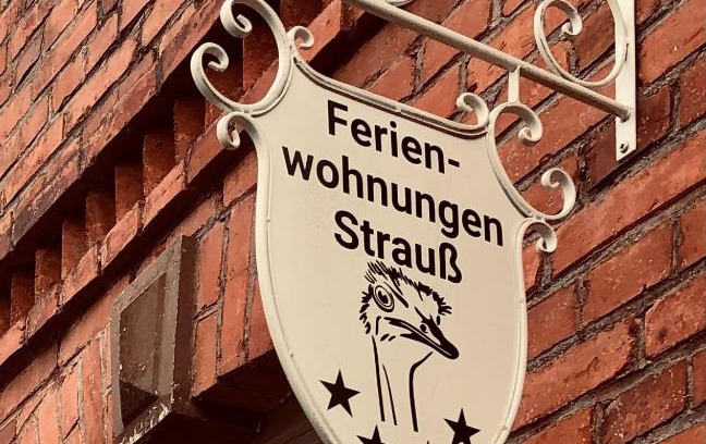 Eschwege Apartment | Ferienwohnungen Strauß am Botanischen Garten in Eschwege