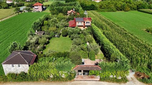 Qerek Villa | Ferma Gold