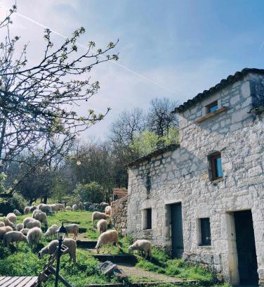 Vazerac House | Ferme de Lacassagne