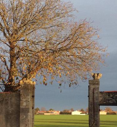 LHoumeau Bed & Breakfast | Ferme de Maillezais