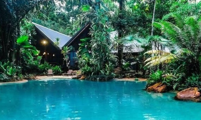Cape Tribulation Resort | Ferntree Rainforest Hotel