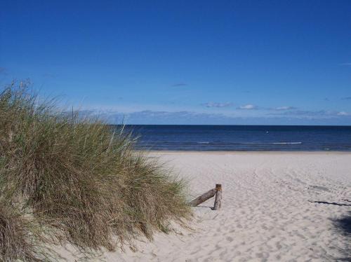 Peenemuende Apartment | FeWo, Ferienwohnung, Peenemünde im Naturschutzgebiet