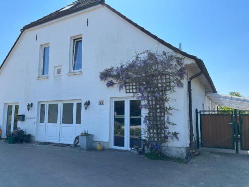 Jethausen Apartment | Fewo Nähe Vareler Hafen auch mit Hund