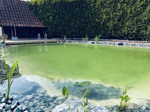 Roggenstede Apartment | Fewo Zitronenfalter EG