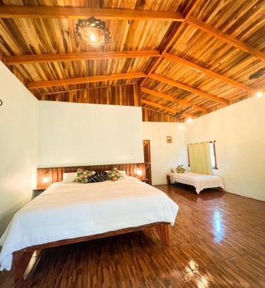 Pital Apartment | Ficus house