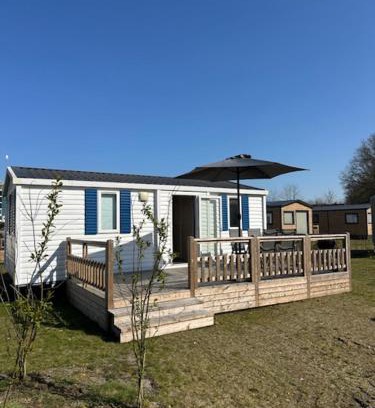 Gasselte Other | Figaro - Gasselte, Drenthe