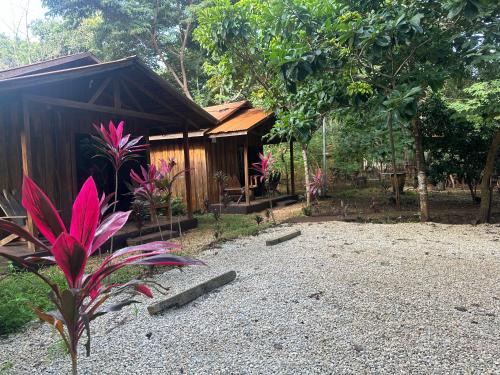 Rio Seco Hotel | Finca Avellanas